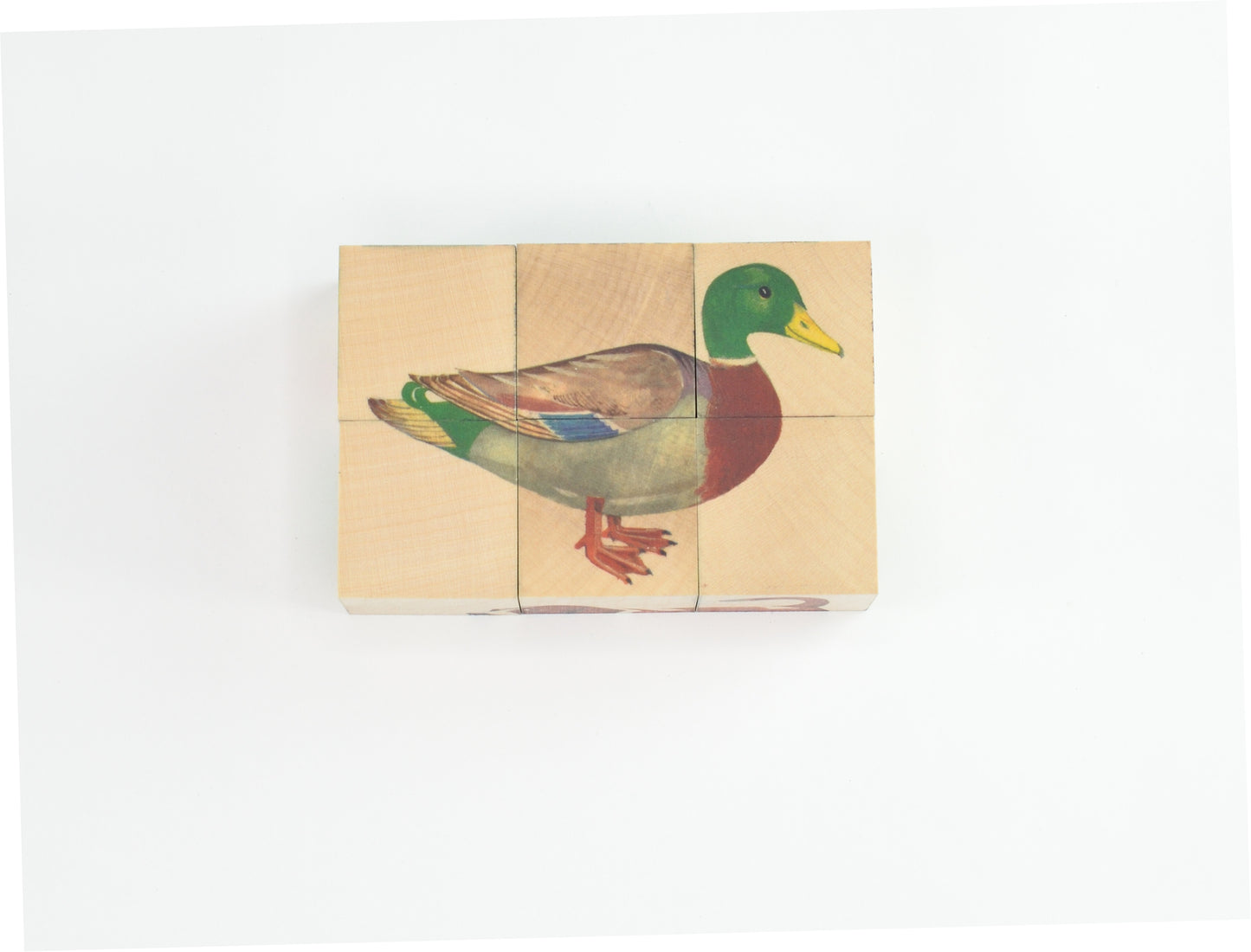 AF 六面体パズル 6pcs リアル