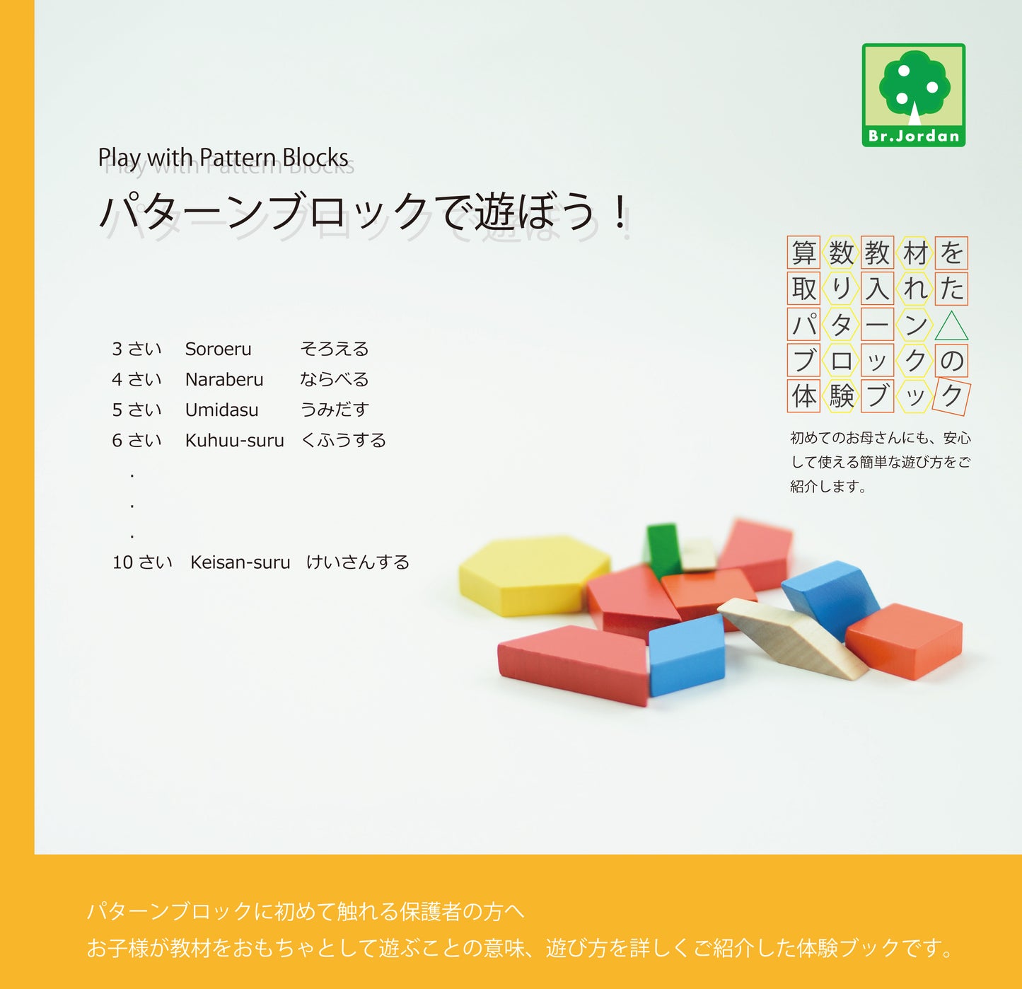 ASパターンブロック ハーフセット