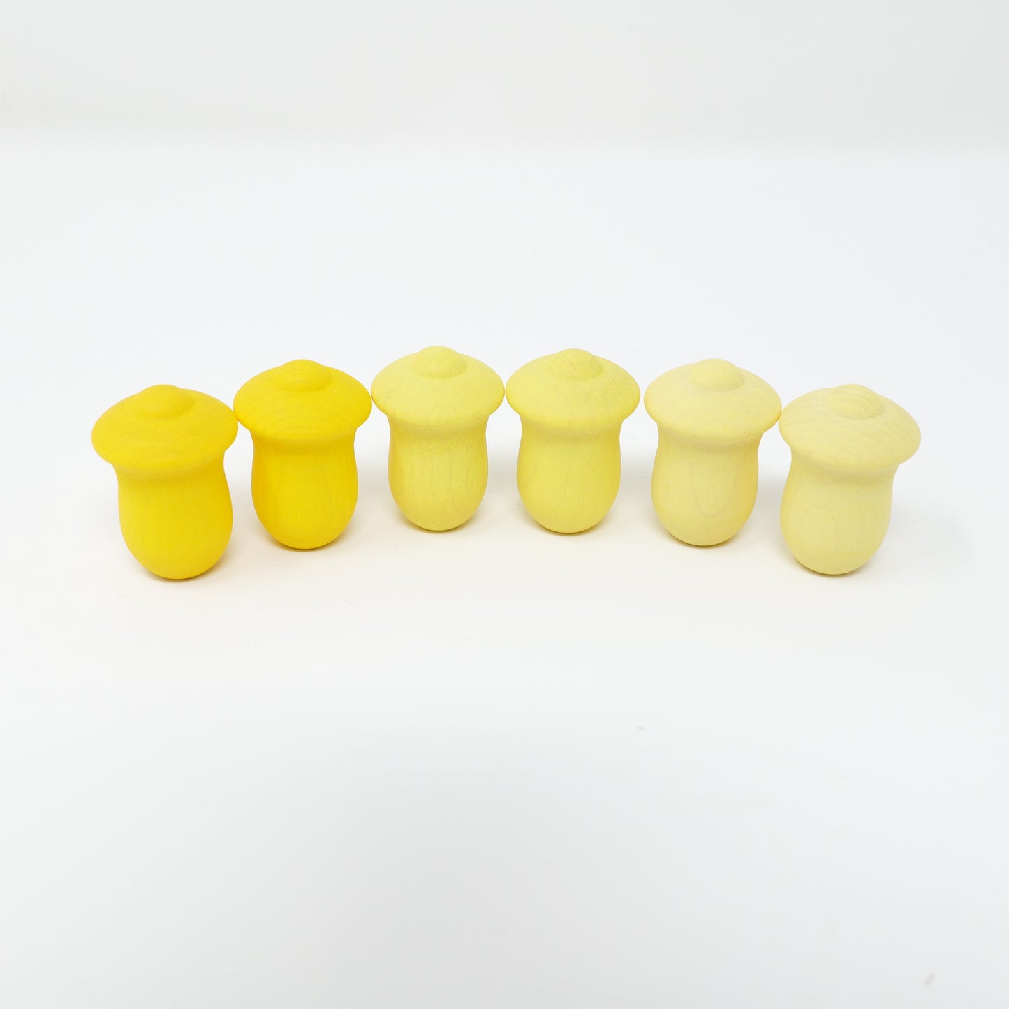 グラパット まんだら チューリップ