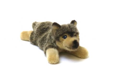 ケーセン オオカミの子 伏せ