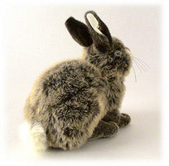 ケーセンのうさぎ