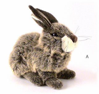 ケーセンのうさぎ