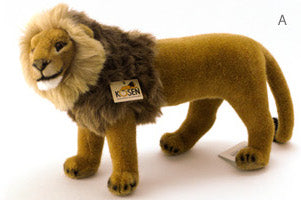 ケーセン ライオン雄