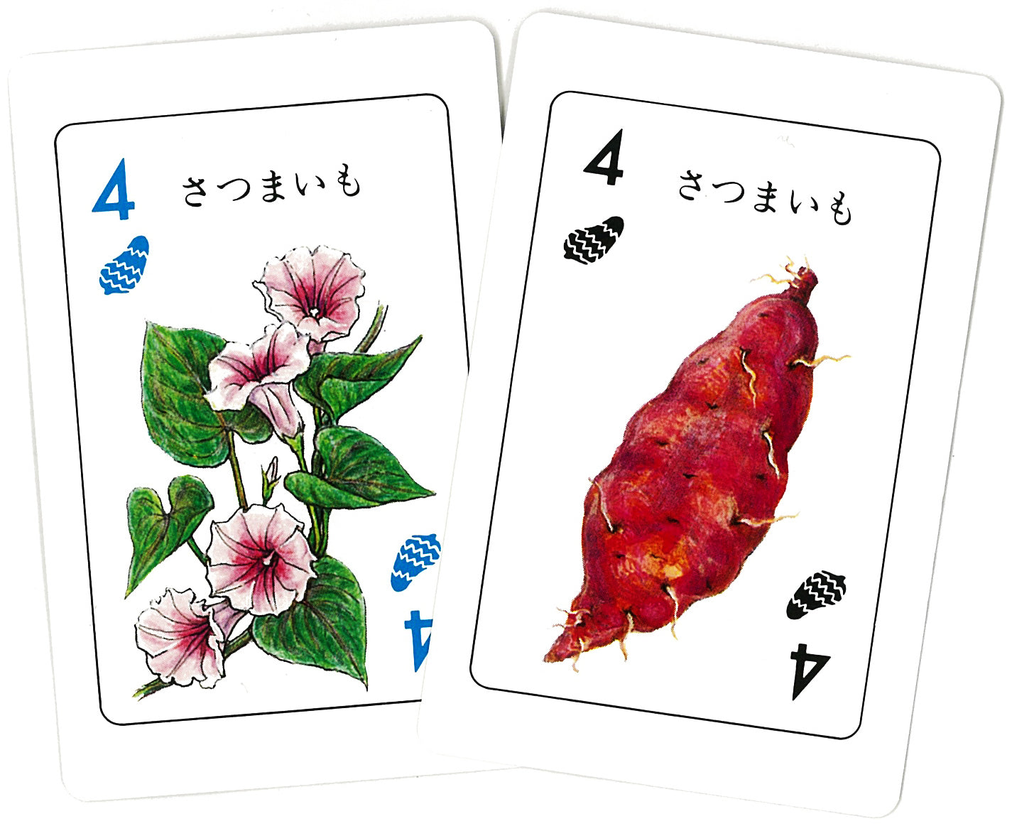 野菜カード ga463